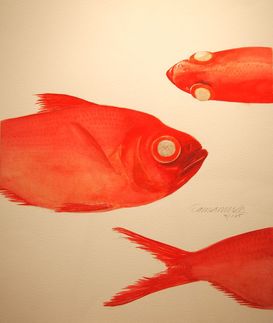 キンメダイ　47cm×39cmジクレー.JPG